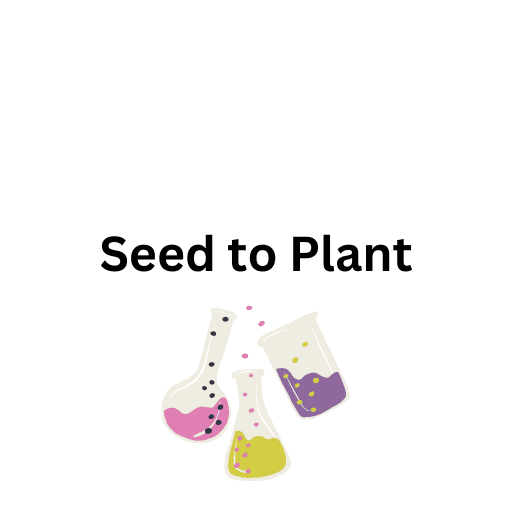 Seed to Plant